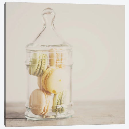 Macaroons Canvas Print #LEV114} by Laura Evans Canvas Wall Art