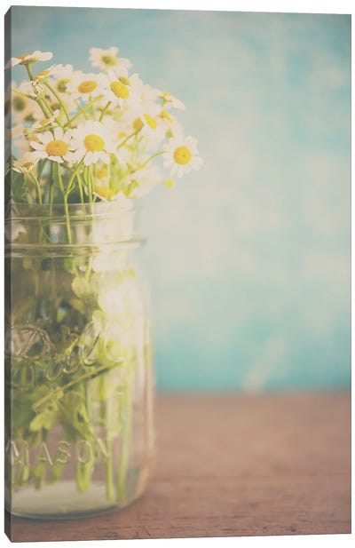 A Little Jar Of Sunshine Canvas Art Print - Daisy Art