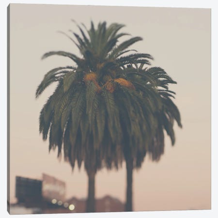 A Palm Tree At Sunset Canvas Print #LEV128} by Laura Evans Canvas Wall Art