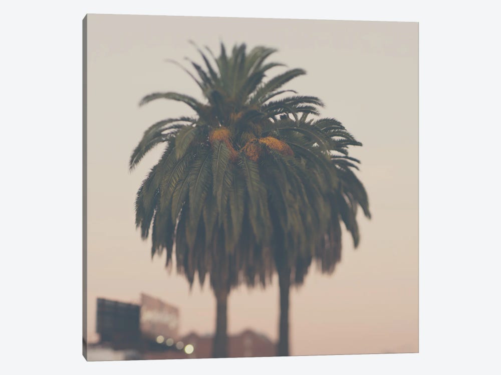 A Palm Tree At Sunset by Laura Evans 1-piece Art Print
