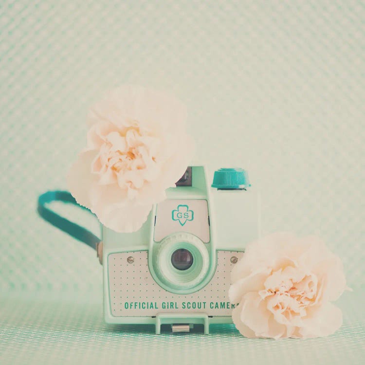 Peach Flowers And A Mint Green Camera