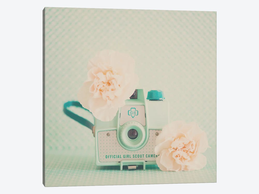Peach Flowers And A Mint Green Camera by Laura Evans 1-piece Canvas Artwork