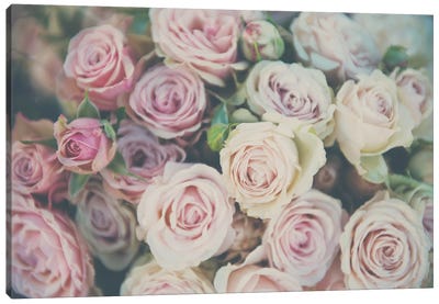Pink Roses Canvas Art Print - Vintage Styled Photography