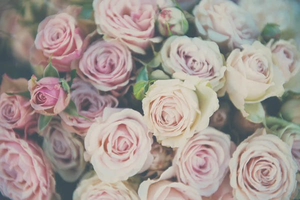 Vintage Styled Photography: Pink Roses by Laura Evans