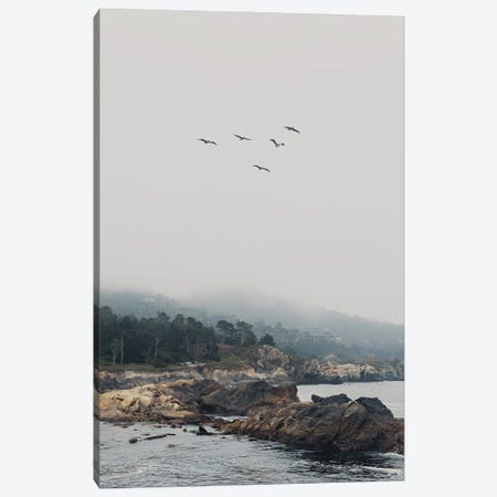 Point Lobos With Birds In Flight Canvas Print #LEV144} by Laura Evans Canvas Print