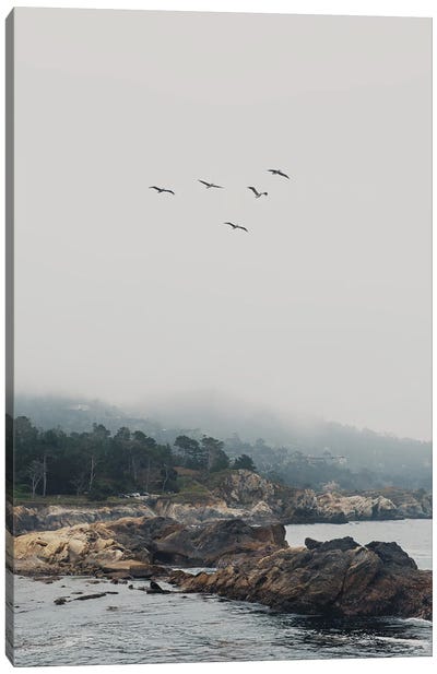 Point Lobos With Birds In Flight Canvas Art Print - Cottagecore Goes Coastal