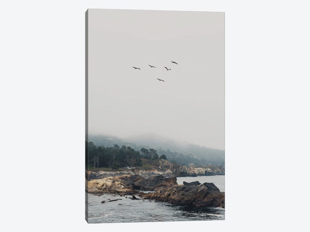 Point Lobos With Birds In Flight by Laura Evans 1-piece Art Print