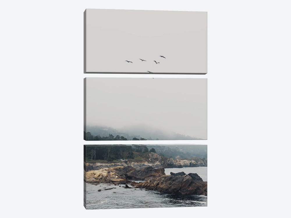 Point Lobos With Birds In Flight by Laura Evans 3-piece Canvas Art Print