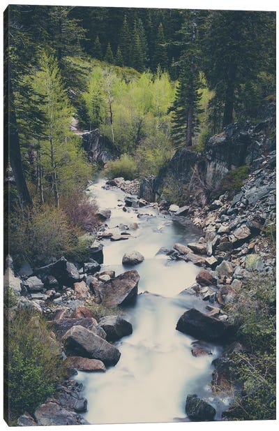 A Mountain River Weaves Through The Trees High Above Lake Tahoe Canvas Art Print - Laura Evans