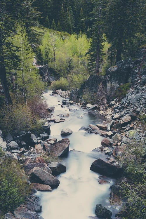 A Mountain River Weaves Through The Trees High Above Lake Tahoe