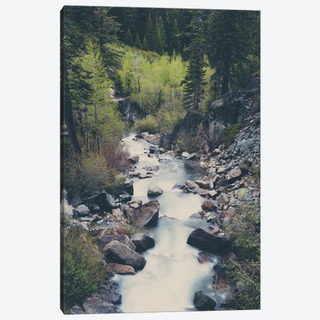 A Mountain River Weaves Through The Trees High Above Lake Tahoe Canvas Print #LEV14} by Laura Evans Canvas Art