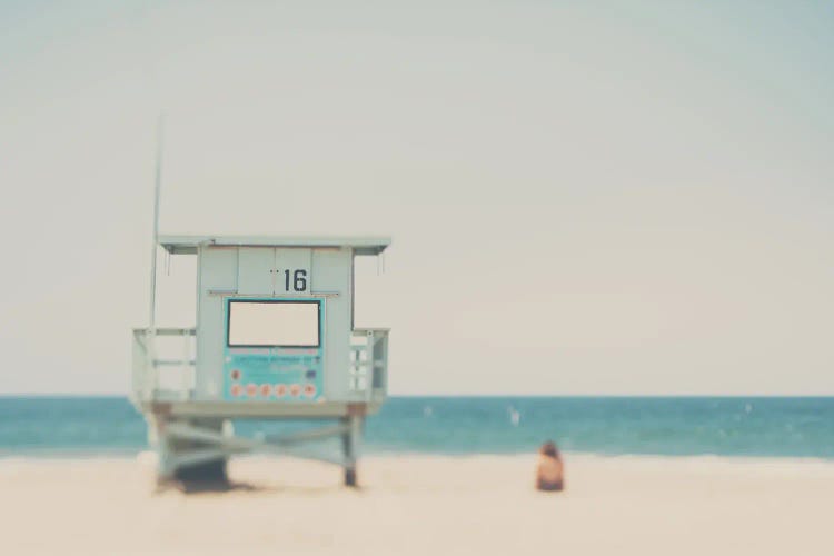 Santa Monica Beach by Laura Evans wall art