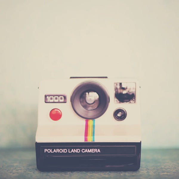 Travel Journal: A Portrait Of A Camera by Laura Evans