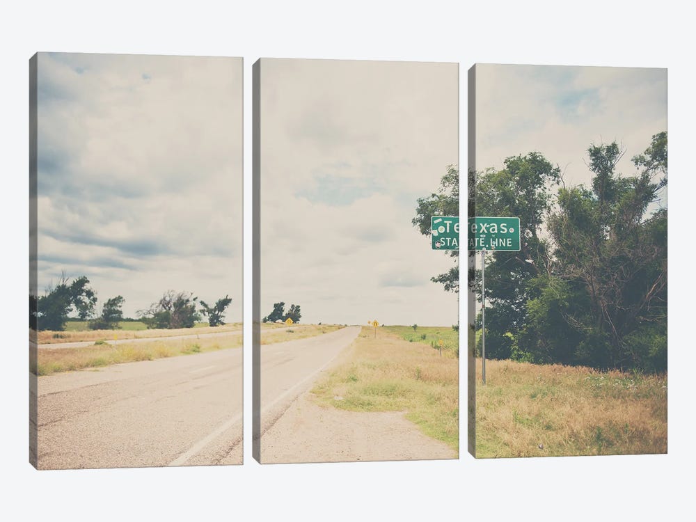 Texas State Line by Laura Evans 3-piece Canvas Wall Art