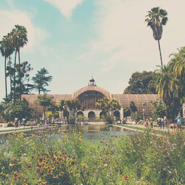 San Diego: The Botanical Building by Laura Evans