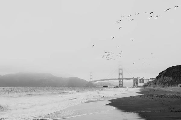 Large Coastal Art - Canvas Prints: The Golden Gate Bridge In Black And White by Laura Evans