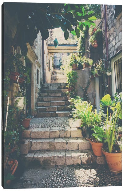 The Prettiest Of Stairs Canvas Art Print - Laura Evans