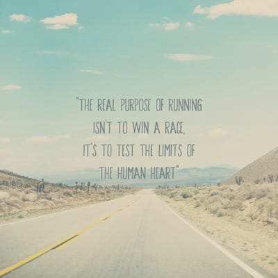 The Real Purpose Of Running by Laura Evans framed wall art