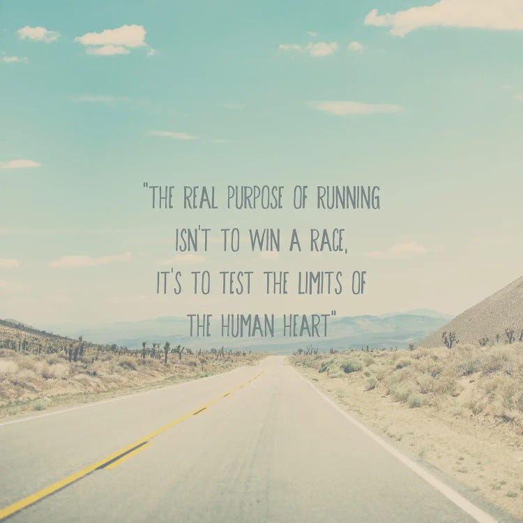 The Real Purpose Of Running by Laura Evans wall art