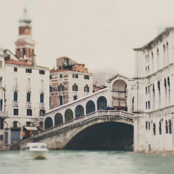 Rialto Bridge: The Rialto Bridge by Laura Evans