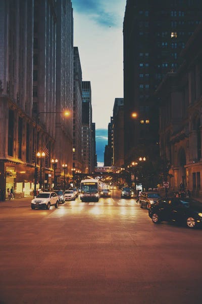 Laura Evans: The Streets Of Chicago by Laura Evans