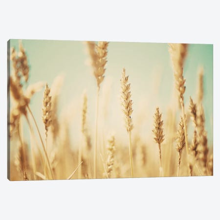 The Wheat Field Canvas Print #LEV193} by Laura Evans Art Print