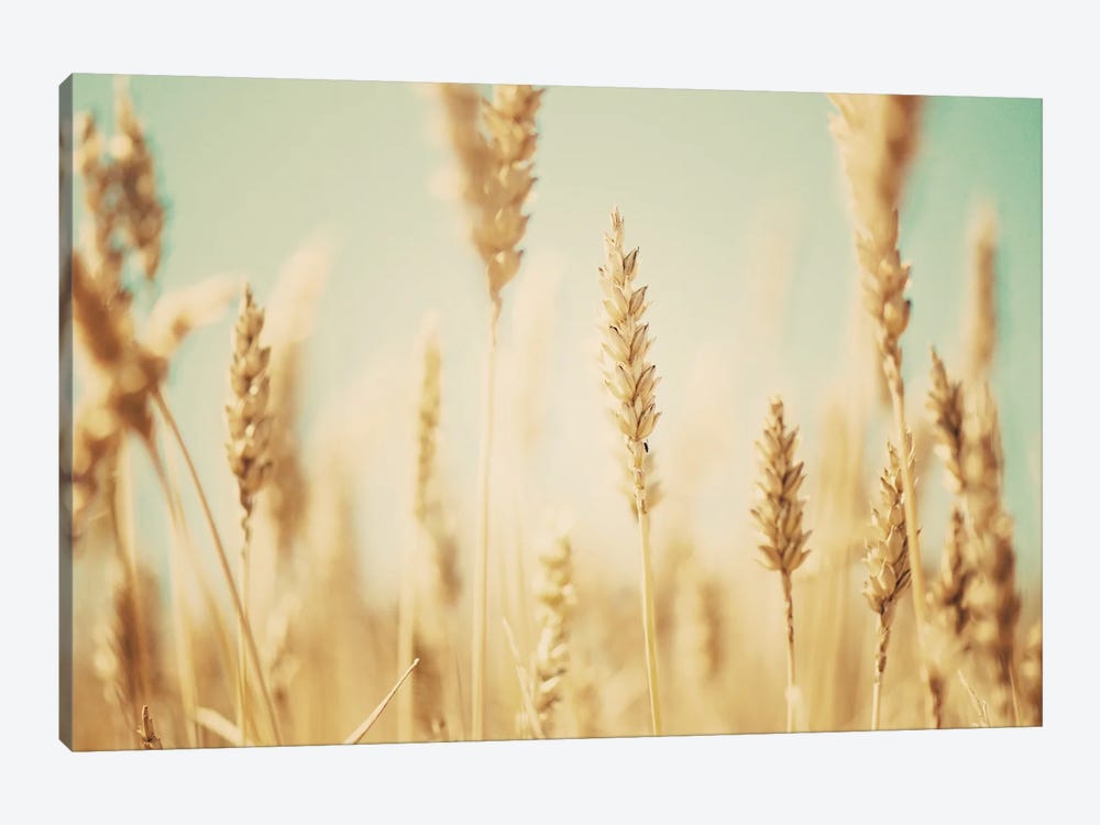 The Wheat Field by Laura Evans 1-piece Art Print