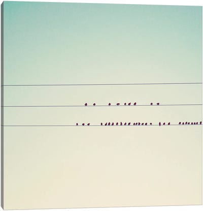 Thirty-Seven Little Birds Sitting In A Row Canvas Art Print - Birds On A Wire