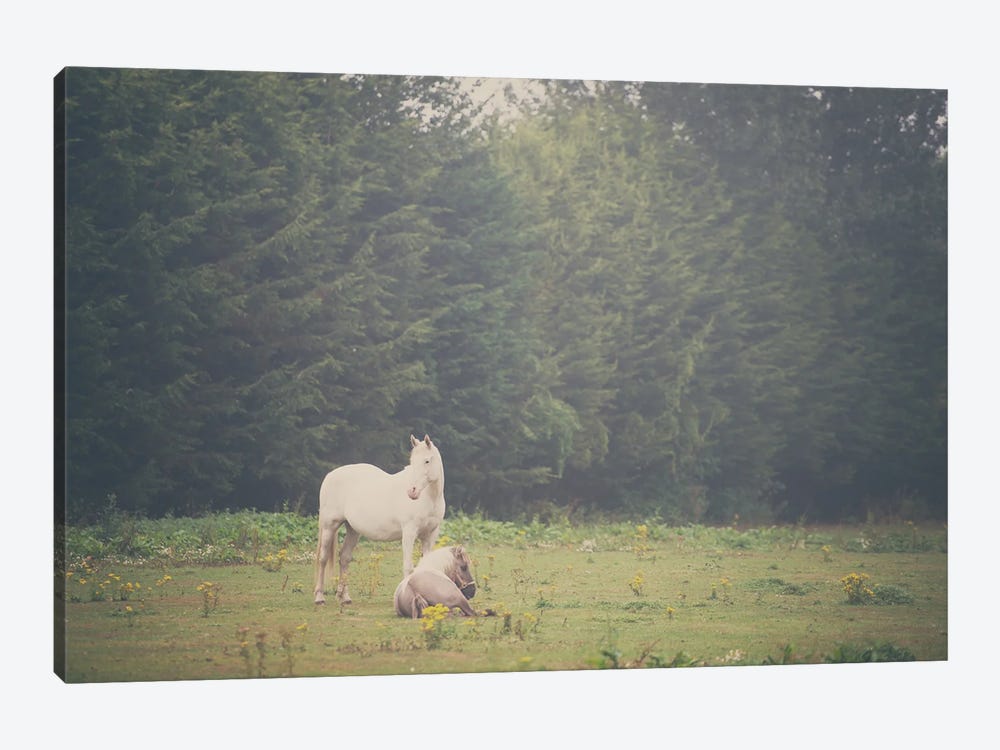 Two Horses In A Field by Laura Evans 1-piece Art Print