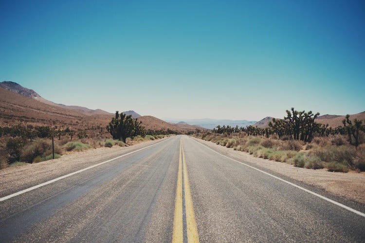 Walker Pass II by Laura Evans wall art