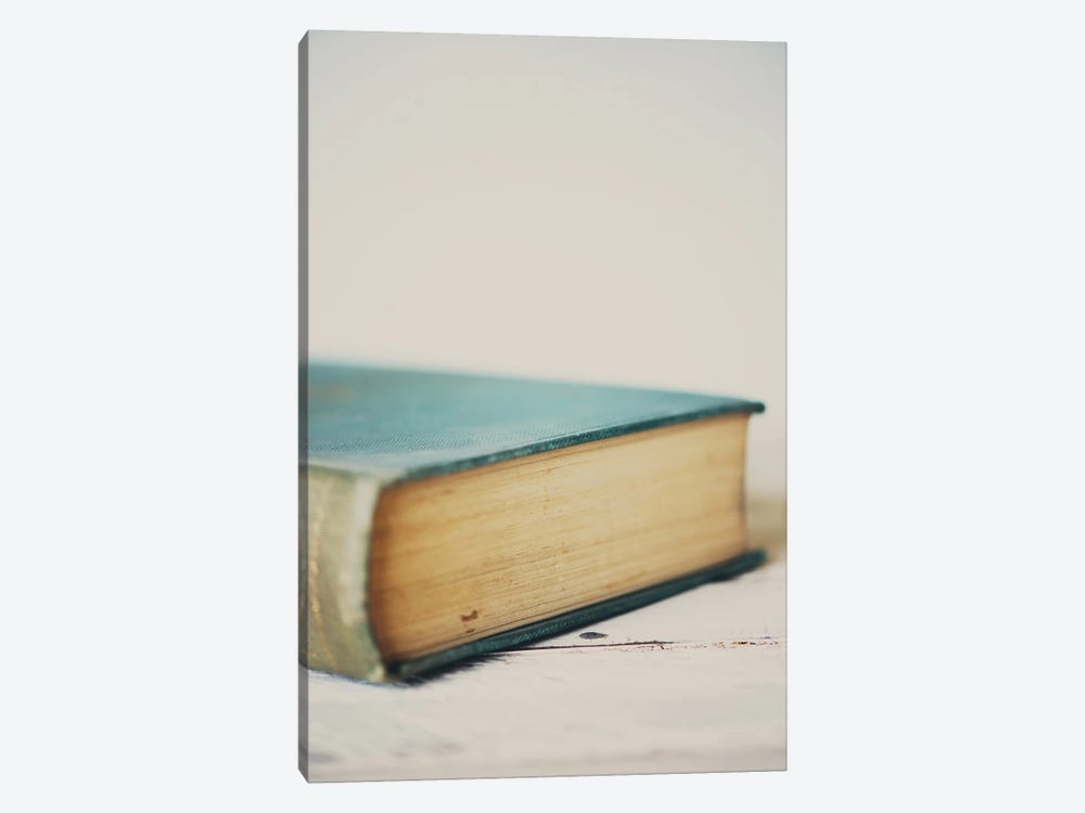 A Single Volume by Laura Evans 1-piece Canvas Art Print