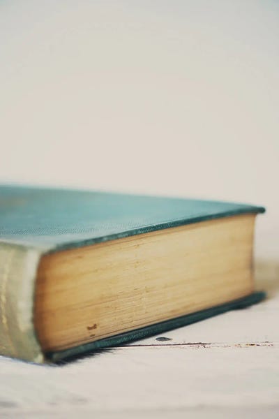 Books: A Single Volume by Laura Evans