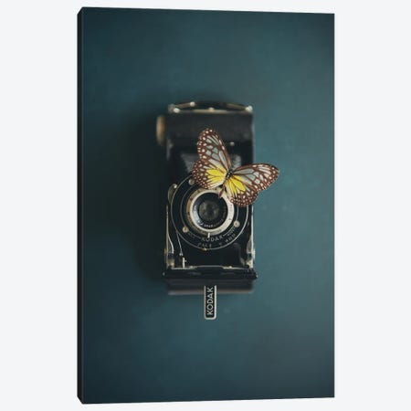 A Vintage Camera And A Butterfly Canvas Print #LEV23} by Laura Evans Canvas Wall Art