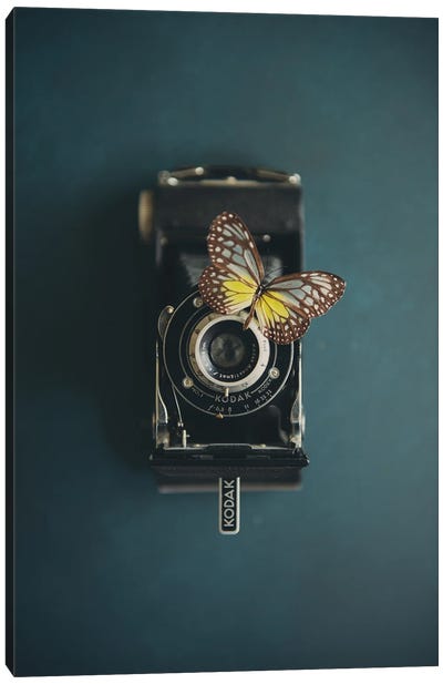 A Vintage Camera And A Butterfly Canvas Art Print - Vintage Styled Photography