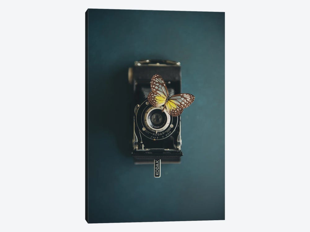 A Vintage Camera And A Butterfly by Laura Evans 1-piece Canvas Wall Art