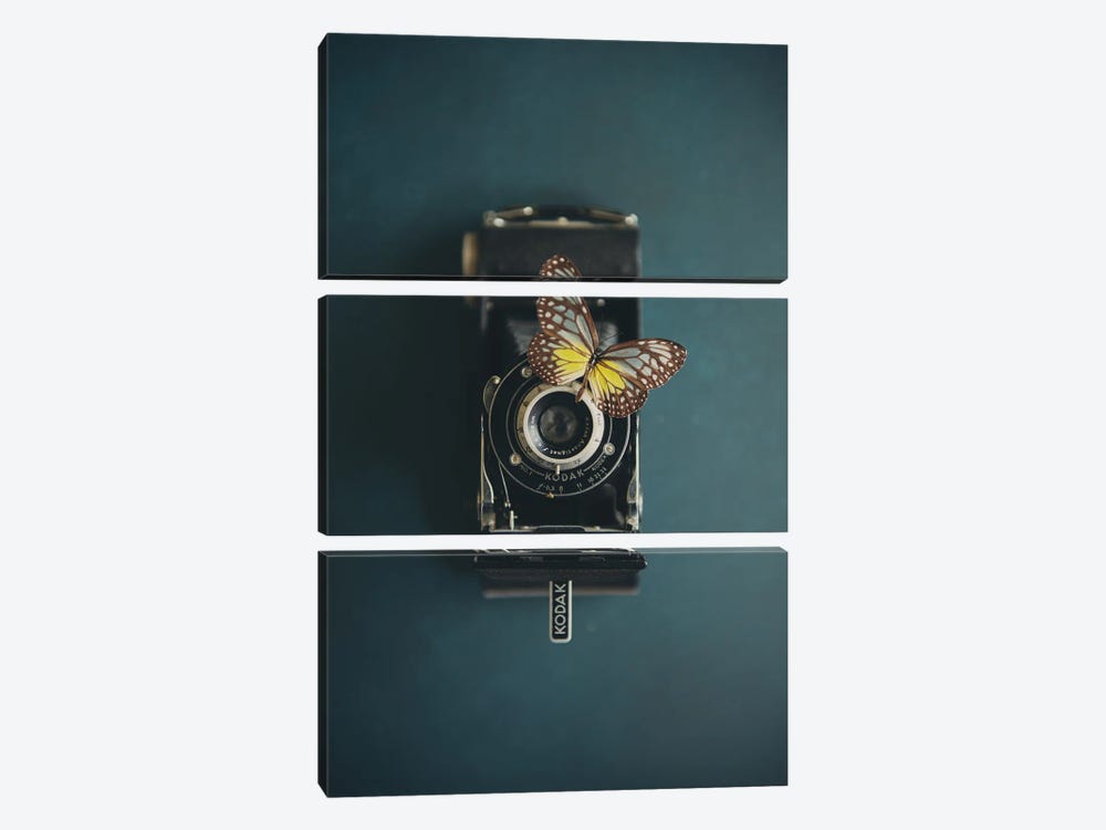 A Vintage Camera And A Butterfly by Laura Evans 3-piece Canvas Wall Art