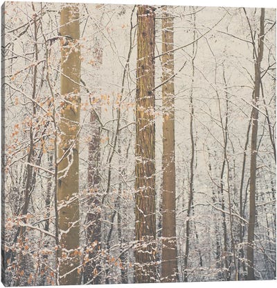 After The Snow Canvas Art Print - Laura Evans