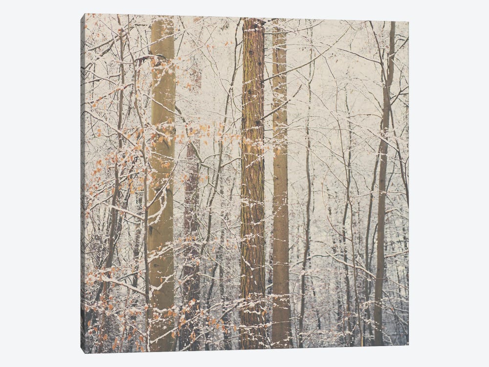 After The Snow by Laura Evans 1-piece Art Print