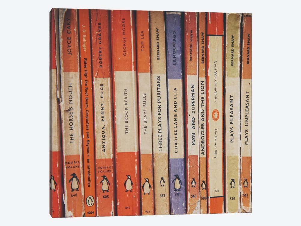 All The Books by Laura Evans 1-piece Canvas Wall Art