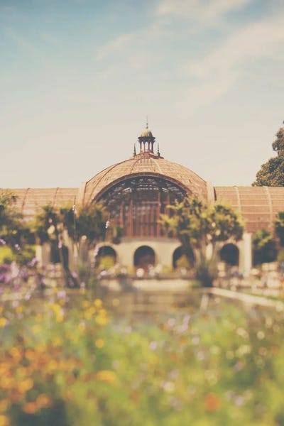 Vintage Styled Photography: All The Curves by Laura Evans