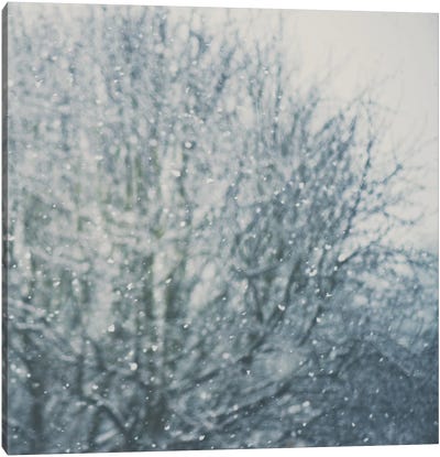 An Abstract Photo Of A Tree And Falling Snow Canvas Art Print - Laura Evans