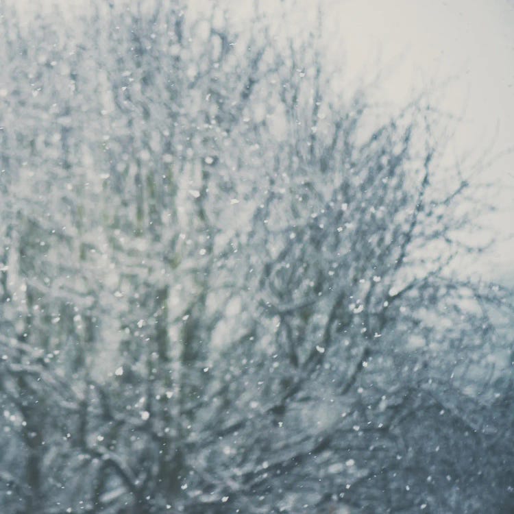 An Abstract Photo Of A Tree And Falling Snow