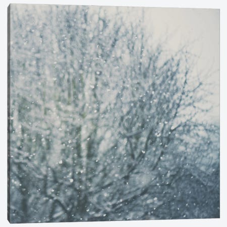 An Abstract Photo Of A Tree And Falling Snow Canvas Print #LEV35} by Laura Evans Canvas Artwork