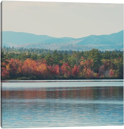 Autumn Leaf Reflections In Lake Chocorua Canvas Art Print - Laura Evans