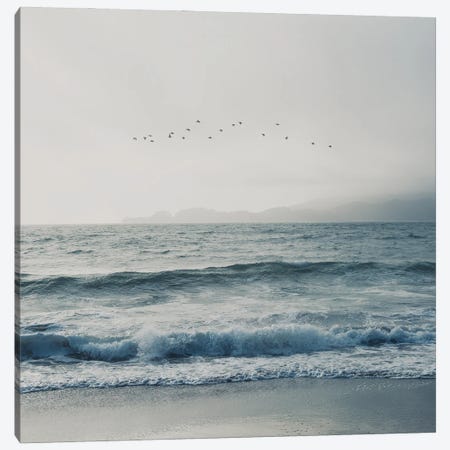 Birds Flying Over The Pacific Ocean Canvas Print #LEV44} by Laura Evans Canvas Art Print