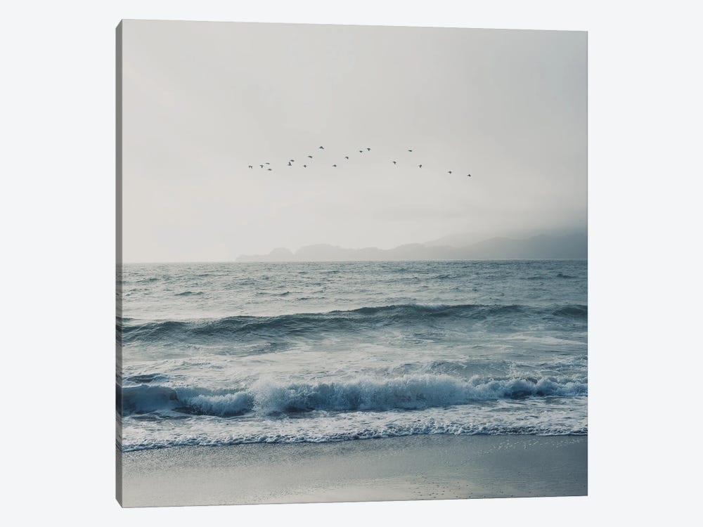 Birds Flying Over The Pacific Ocean 1-piece Canvas Art Print