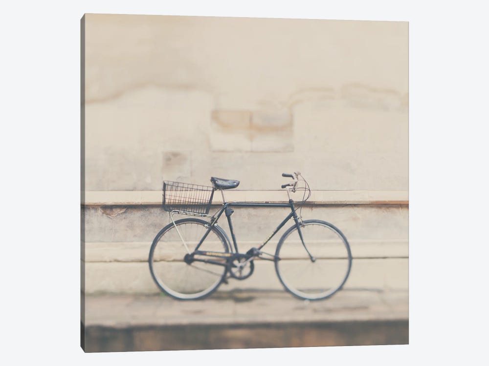 A Very Masculine Bicycle by Laura Evans 1-piece Canvas Wall Art