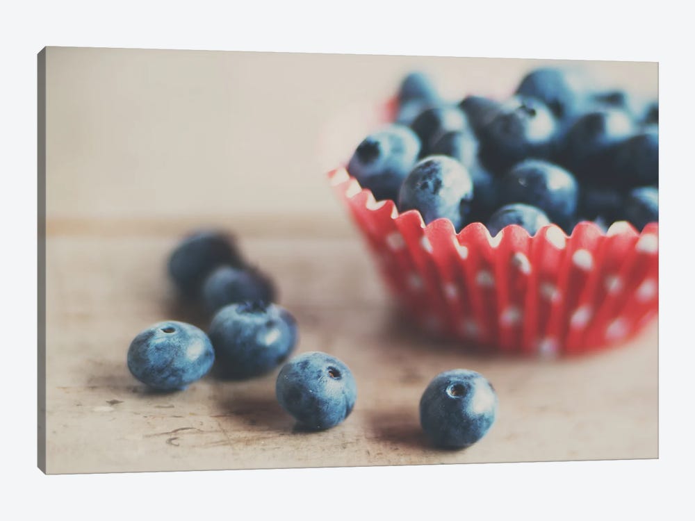 Blueberries by Laura Evans 1-piece Canvas Wall Art