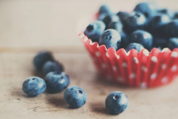 Vintage Styled Photography: Blueberries by Laura Evans