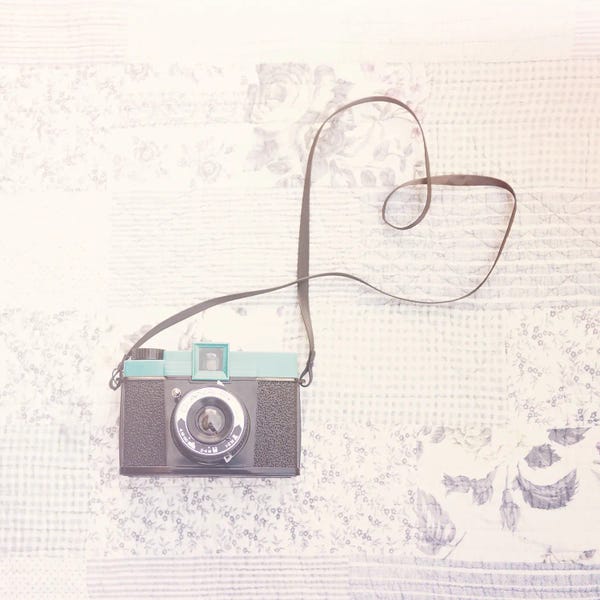 Travel Journal: Dear Diana by Laura Evans